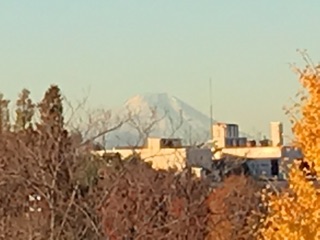 荒川土手から見る富士山